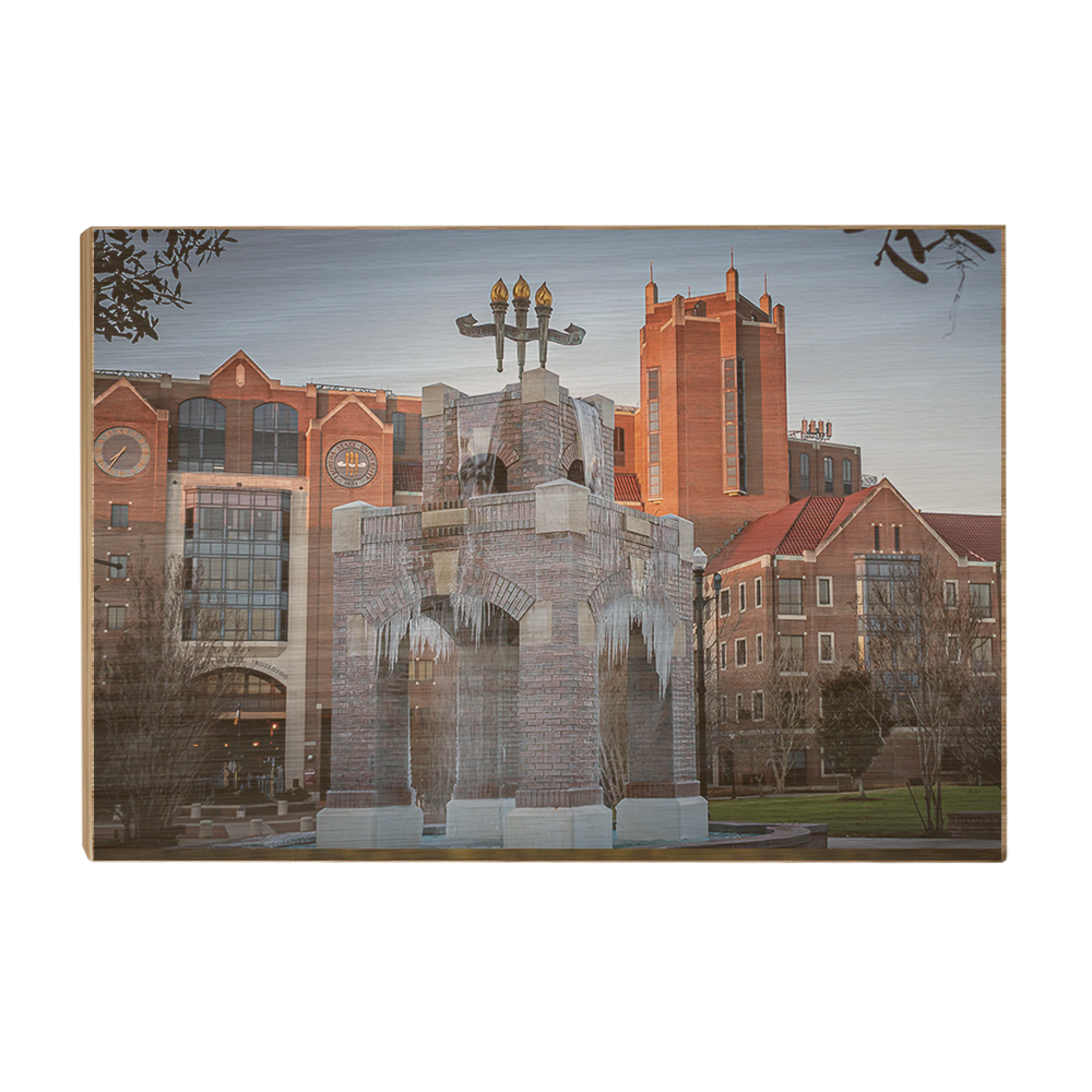 Florida State Seminoles - Tallahassee Winter - College Wall Art #Canvas