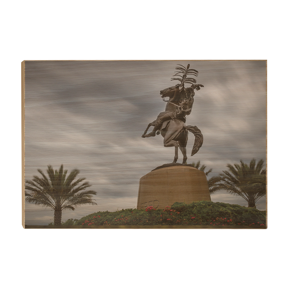 Florida State Seminoles - Unconquered Stormy Skies - College Wall Art #Canvas