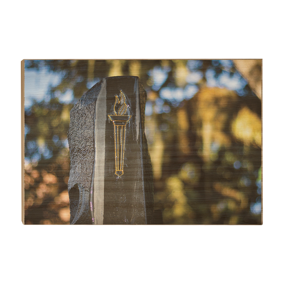 Florida State Seminoles - Hidden Fountain -College Wall Art #Canvas