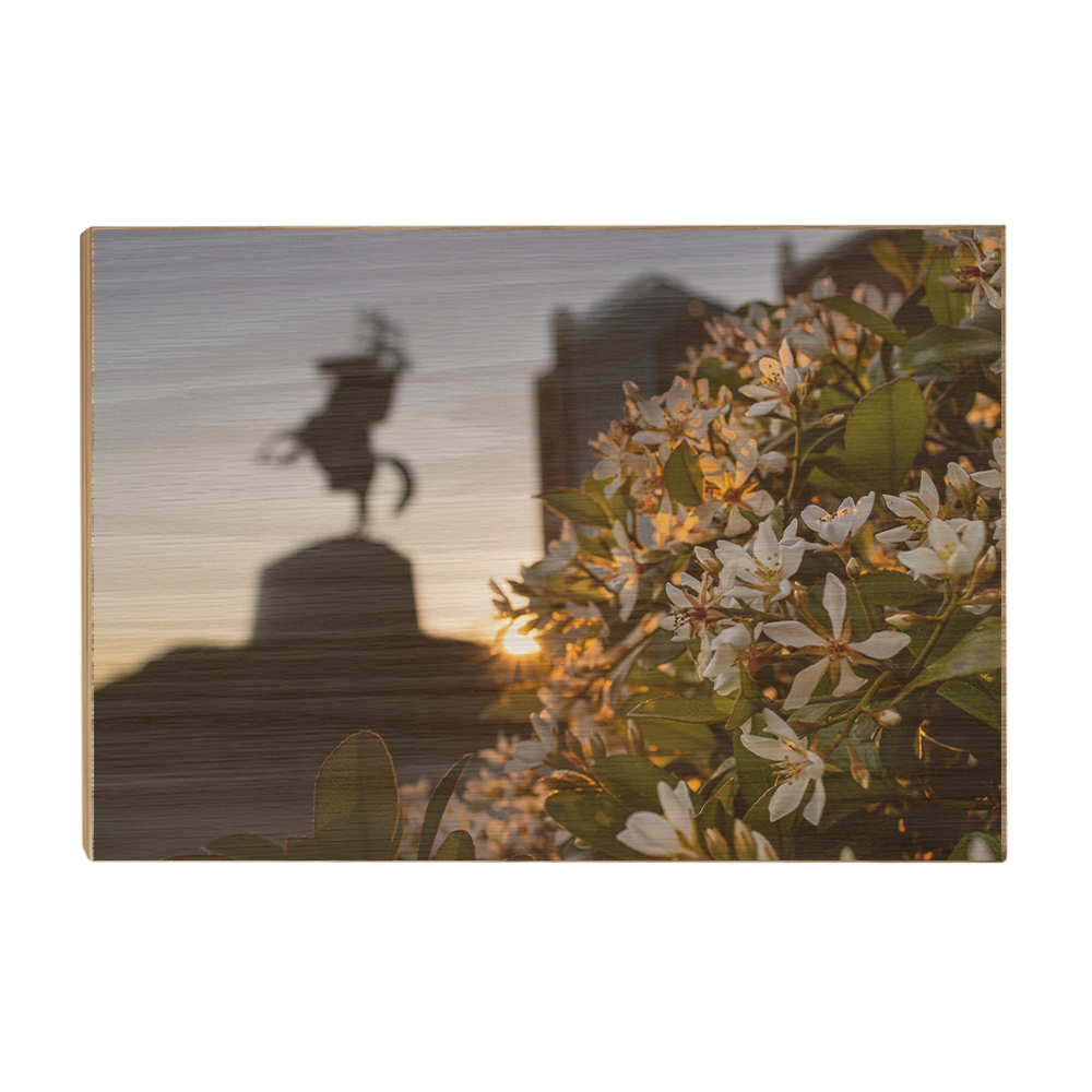 Florida State Seminoles - Unconquered Sunset - College Wall Art #Canvas