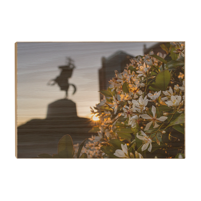 Florida State Seminoles - Unconquered Sunset - College Wall Art #Wood