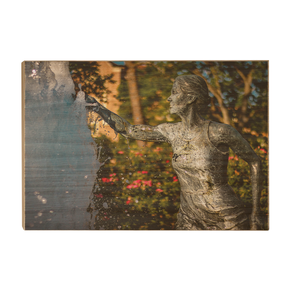 Florida State Seminoles - Legacy Fountain Splash - College Wall Art #Canvas