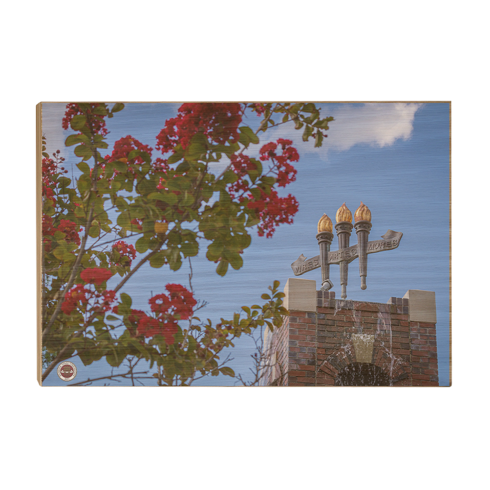 Florida State Seminoles - Red Bloom Torches - College Wall Art #Canvas