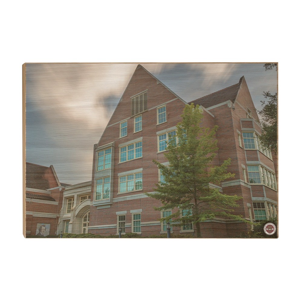 Florida State Seminoles - College of Medicine - College Wall Art #Canvas