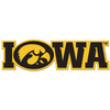 Iowa Hawkeyes - Iowa Tigerhawk Single Layer Dimensional