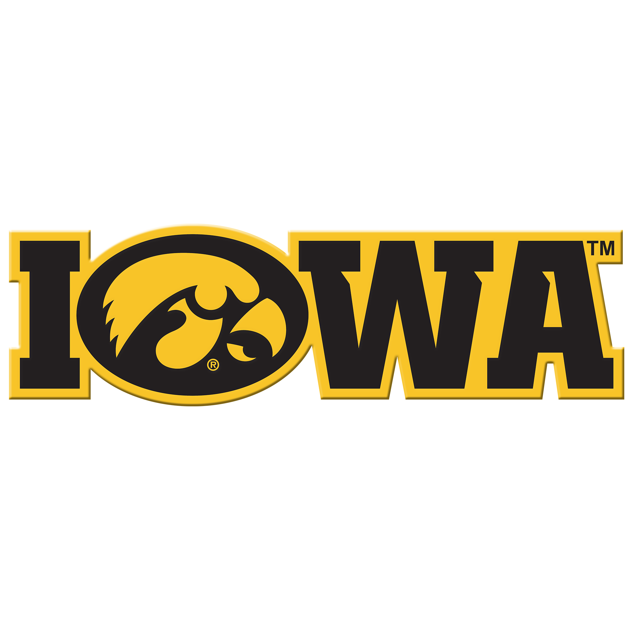 Iowa-Hawkeyes-Tigerhawk-Dimensional-College-Wall-Art - College Wall Art