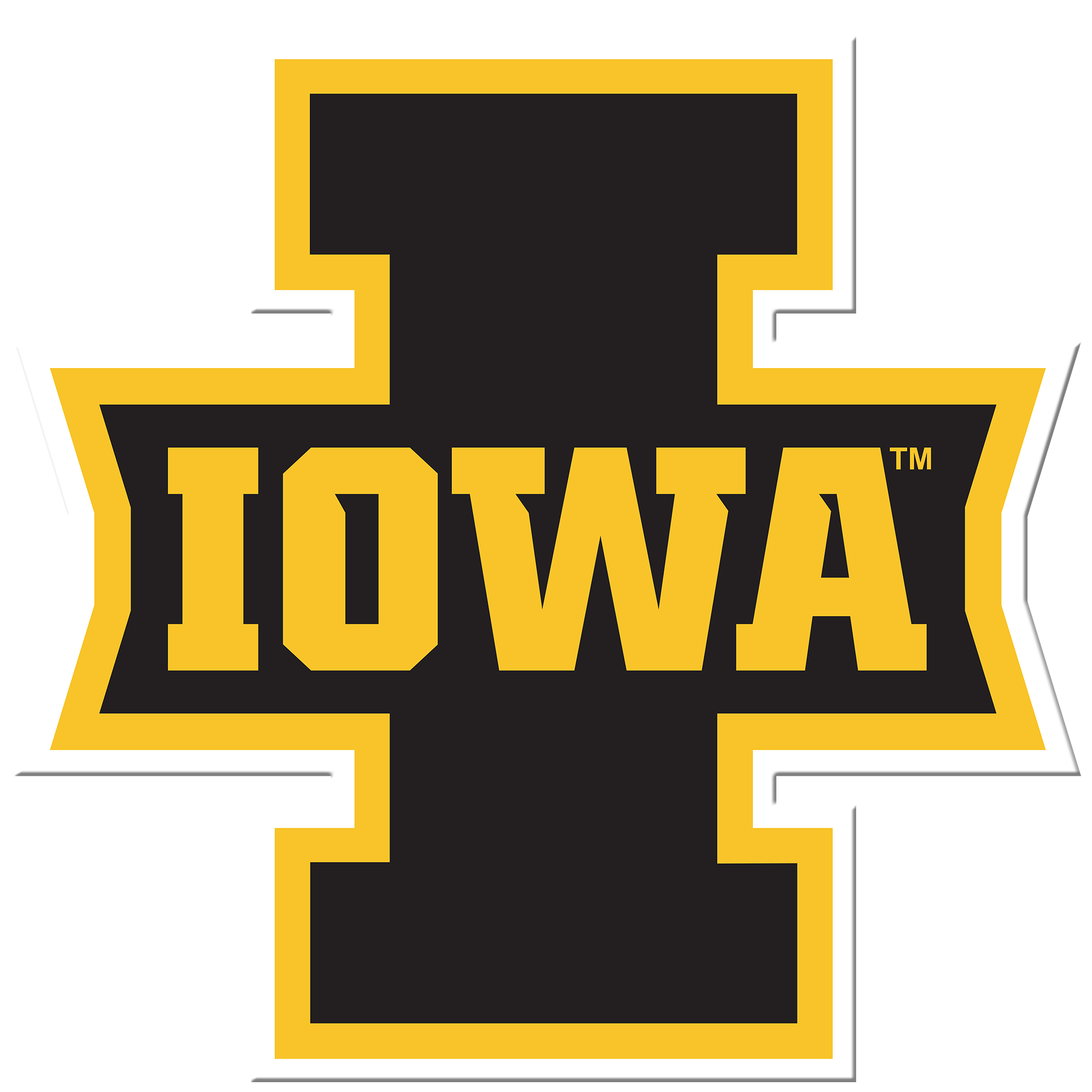 Iowa Hawkeyes 20'' x 20'' Retro Logo Circle Sign
