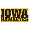 Iowa Hawkeyes - Iowa Hawkeyes Single Layer Dimensional