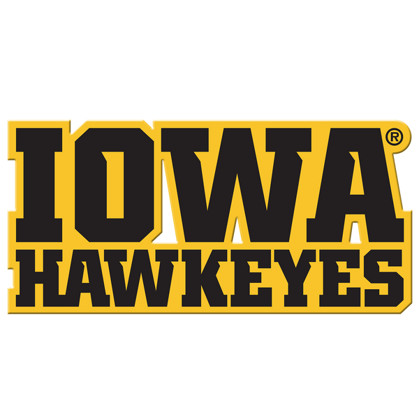 Iowa Hawkeyes - Iowa Hawkeyes Single Layer Dimensional - College Wall Art