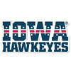 Iowa Hawkeyes - Iowa Hawkeyes Stars and Stripes Single Layer Dimensional