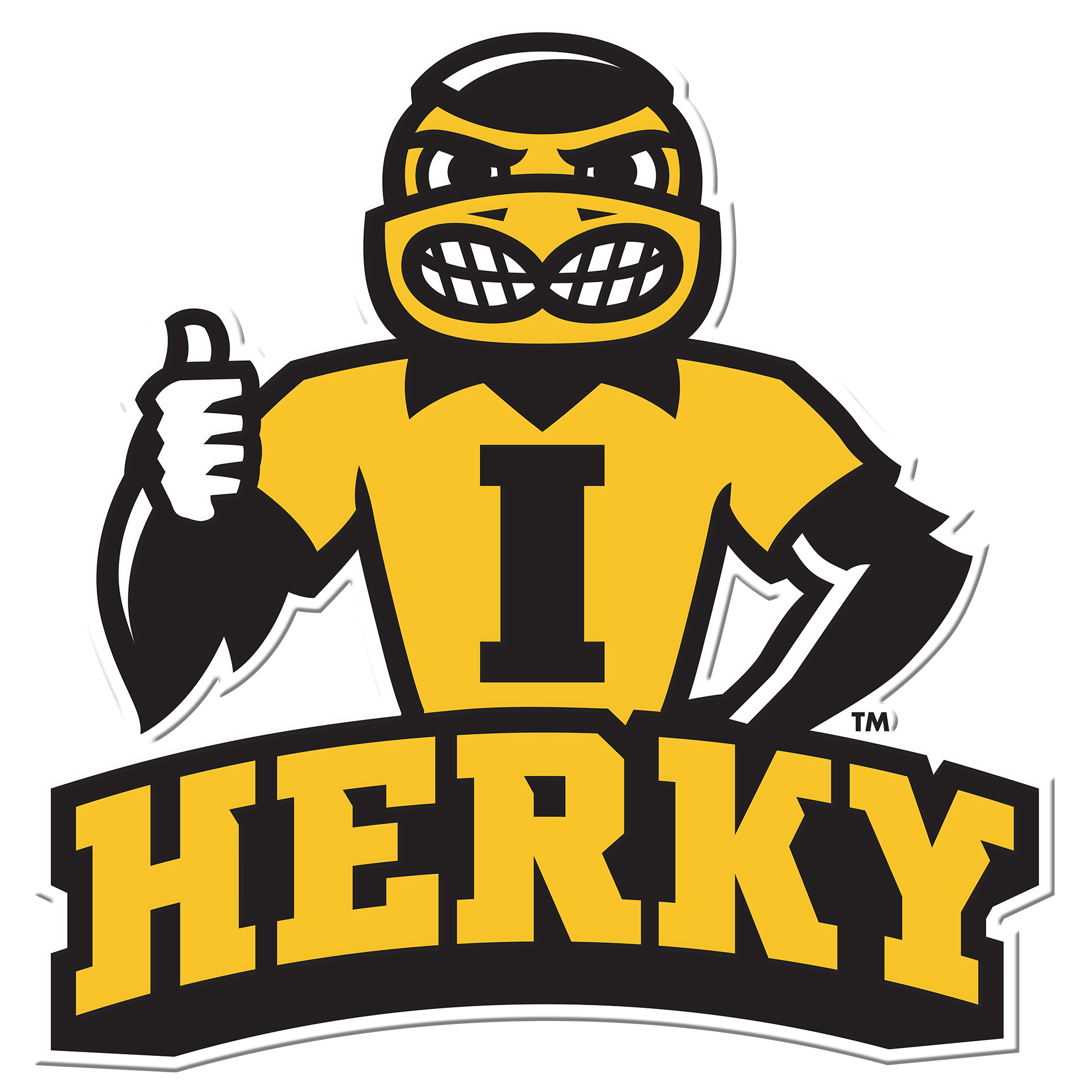 Iowa-Hawkeyes-Herky-Mascot-Dimensional-College-Wall-Art - College Wall Art