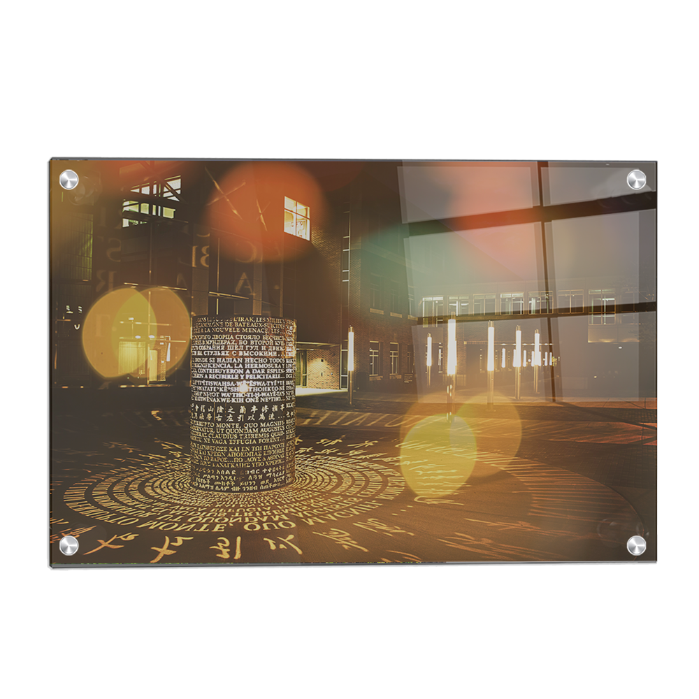 Iowa Hawkeyes - CBD - College Wall Art #Canvas