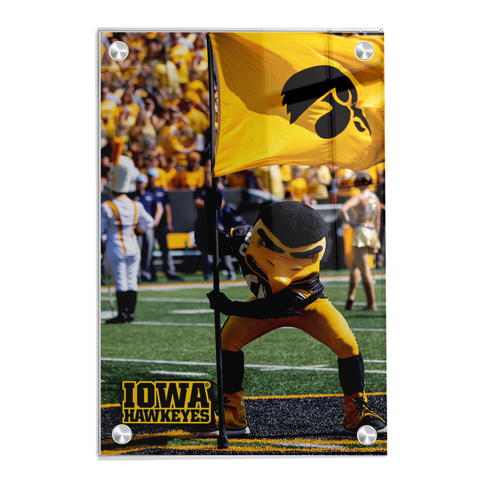 Iowa Hawkeyes - Iowa Hawkeyes Herky on the 50 - College Wall Art #Canvas