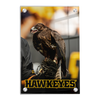 Iowa Hawkeyes - The Hawkeyes - College Wall Art #Acrylic
