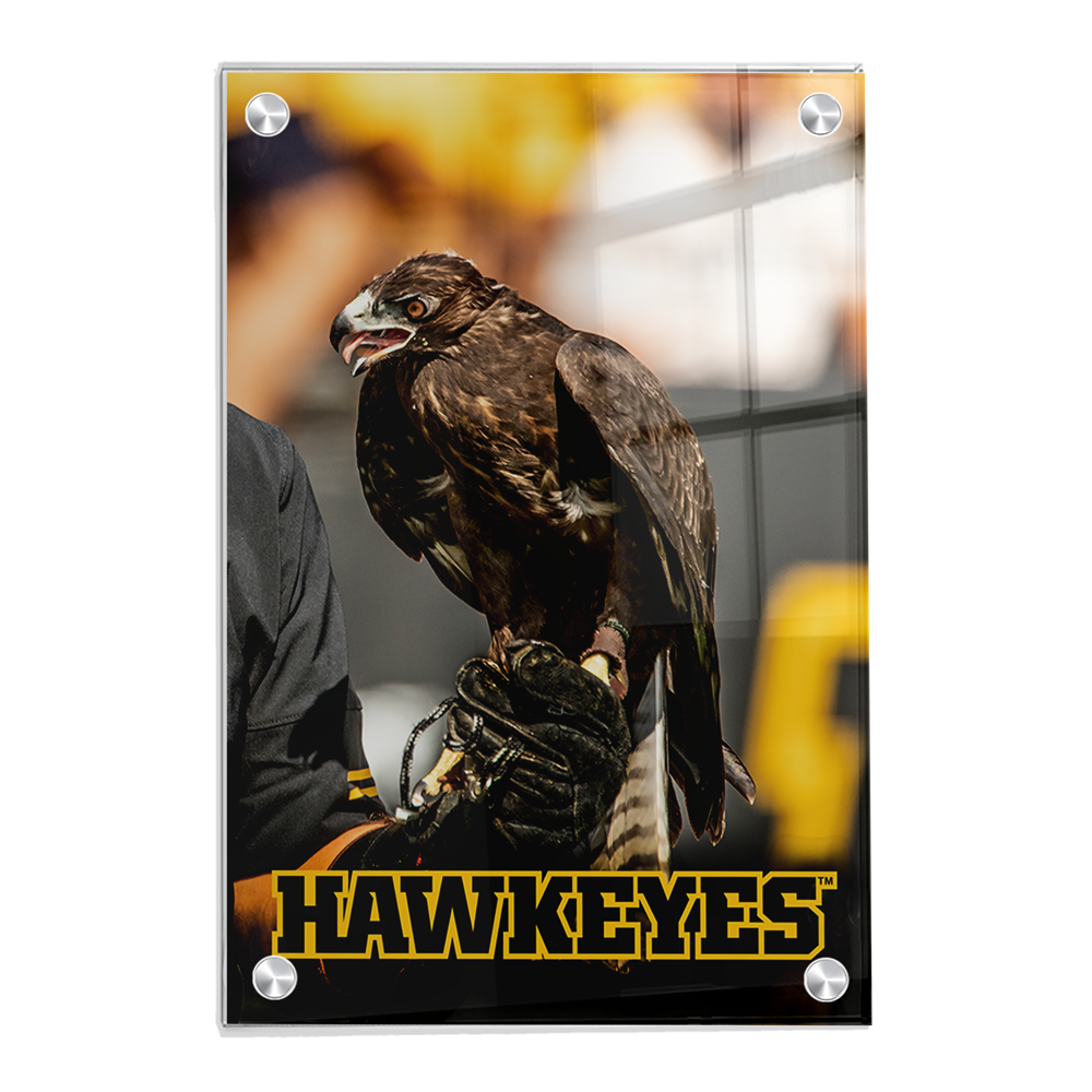 Iowa Hawkeyes - The Hawkeyes - College Wall Art #Canvas