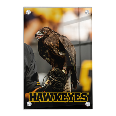Iowa Hawkeyes - The Hawkeyes - College Wall Art #Acrylic
