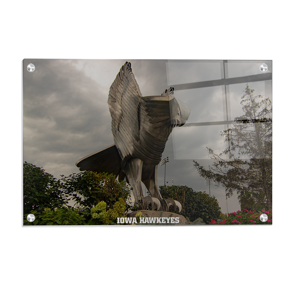 Iowa Hawkeyes - The Hawk In Honor of Bump Elliot - College Wall Art #Canvas