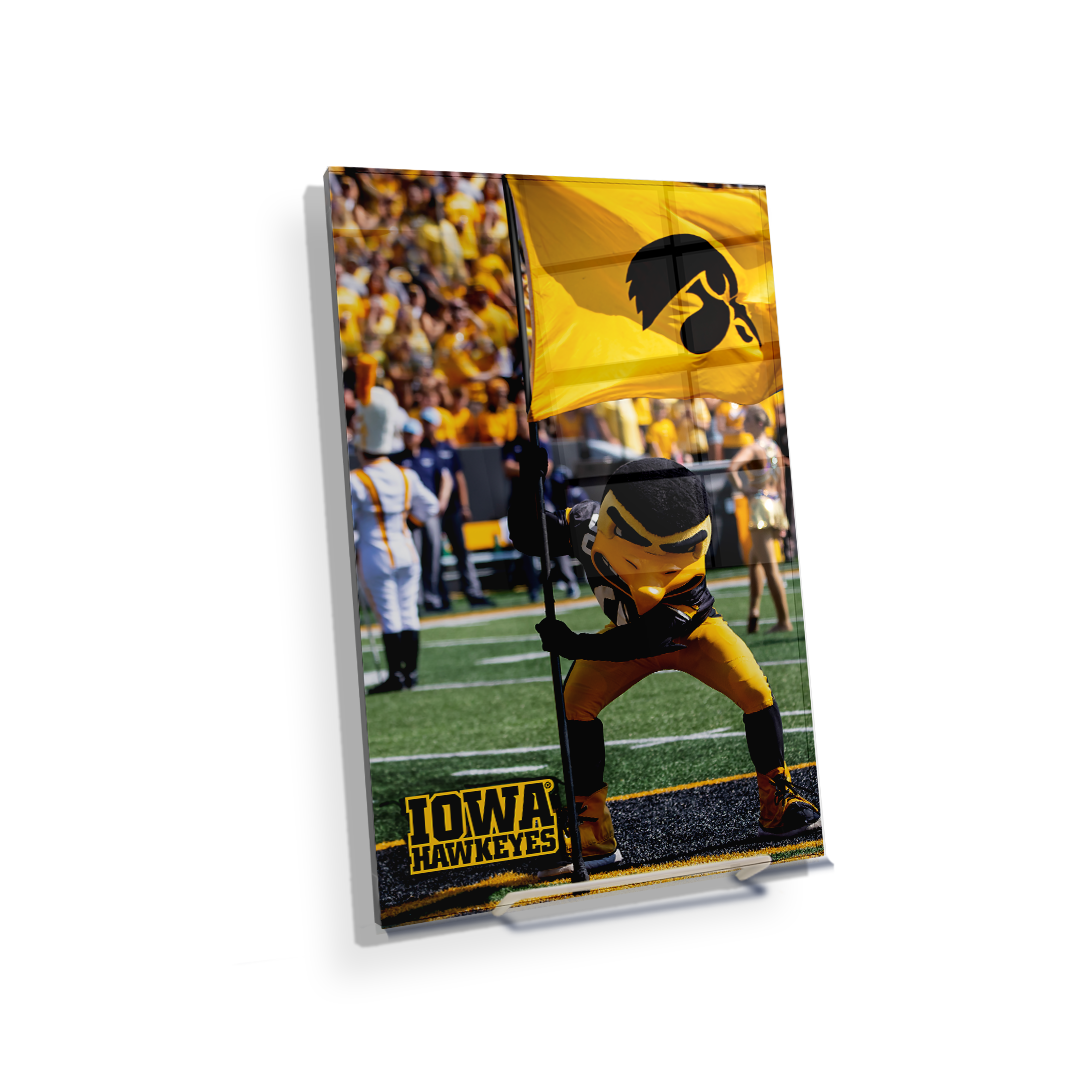 Iowa Hawkeyes - Iowa Hawkeyes Herky on the 50 - College Wall Art #Canvas