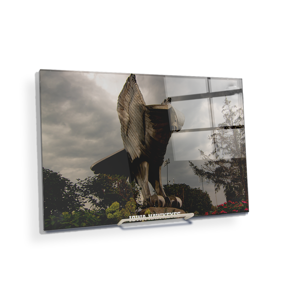 Iowa Hawkeyes - The Hawk In Honor of Bump Elliot - College Wall Art #Canvas