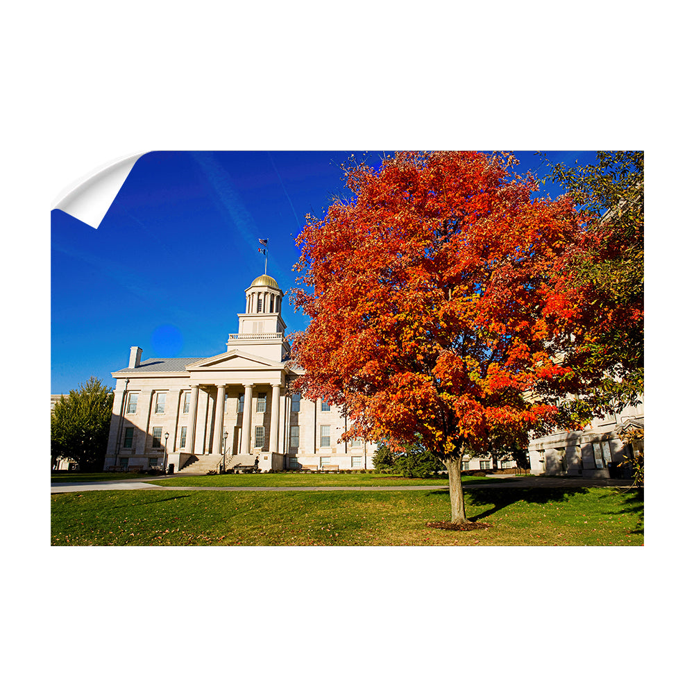 Iowa Hawkeyes- Autumn Old Capital - College Wall Art #Canvas