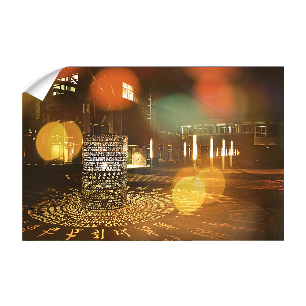 Iowa Hawkeyes - CBD - College Wall Art #Canvas