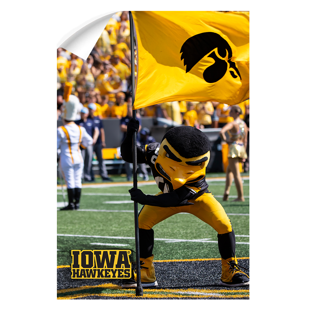 Iowa Hawkeyes - Iowa Hawkeyes Herky on the 50 - College Wall Art #Canvas