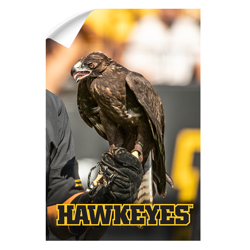 Iowa Hawkeyes - The Hawkeyes - College Wall Art #Canvas