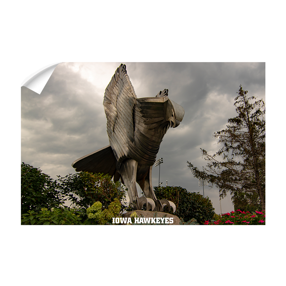Iowa Hawkeyes - The Hawk In Honor of Bump Elliot - College Wall Art #Canvas