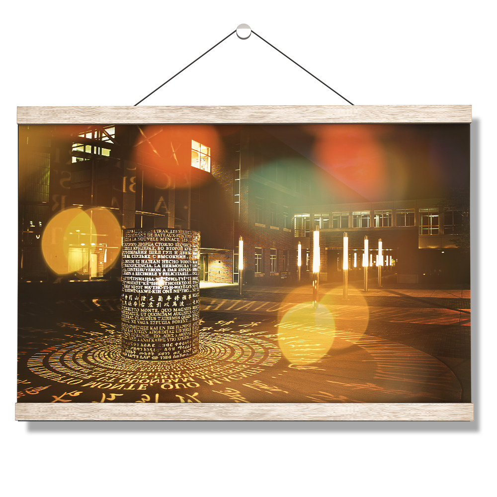 Iowa Hawkeyes - CBD - College Wall Art #Canvas