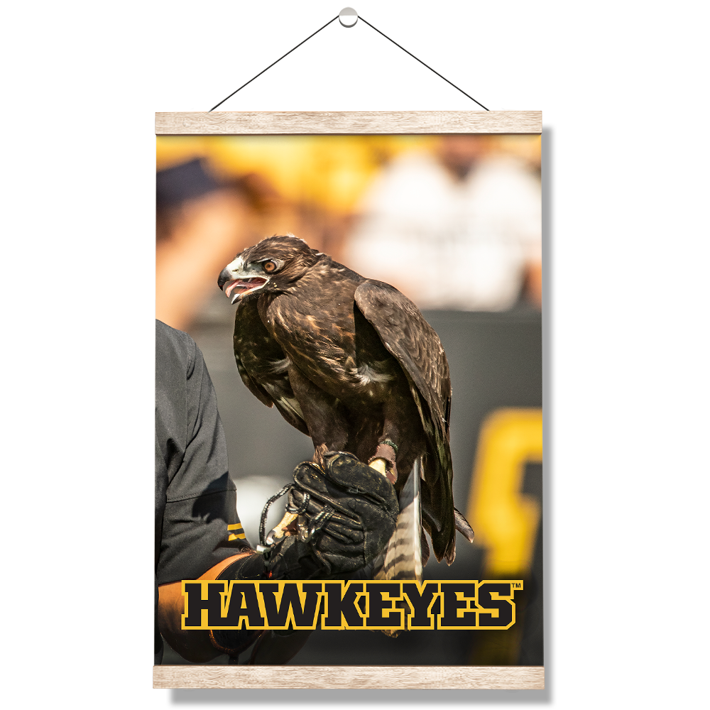 Iowa Hawkeyes - The Hawkeyes - College Wall Art #Canvas