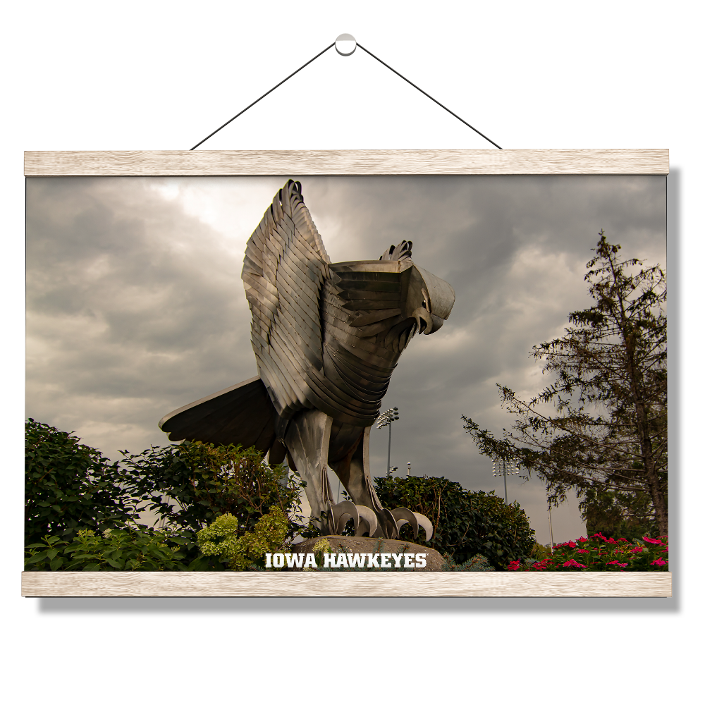 Iowa Hawkeyes - The Hawk In Honor of Bump Elliot - College Wall Art #Canvas