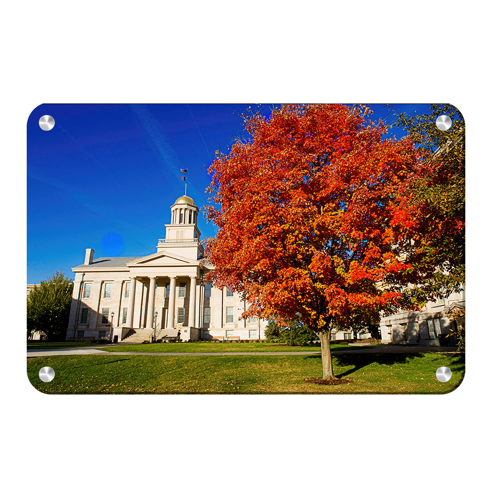 Iowa Hawkeyes- Autumn Old Capital - College Wall Art #Canvas