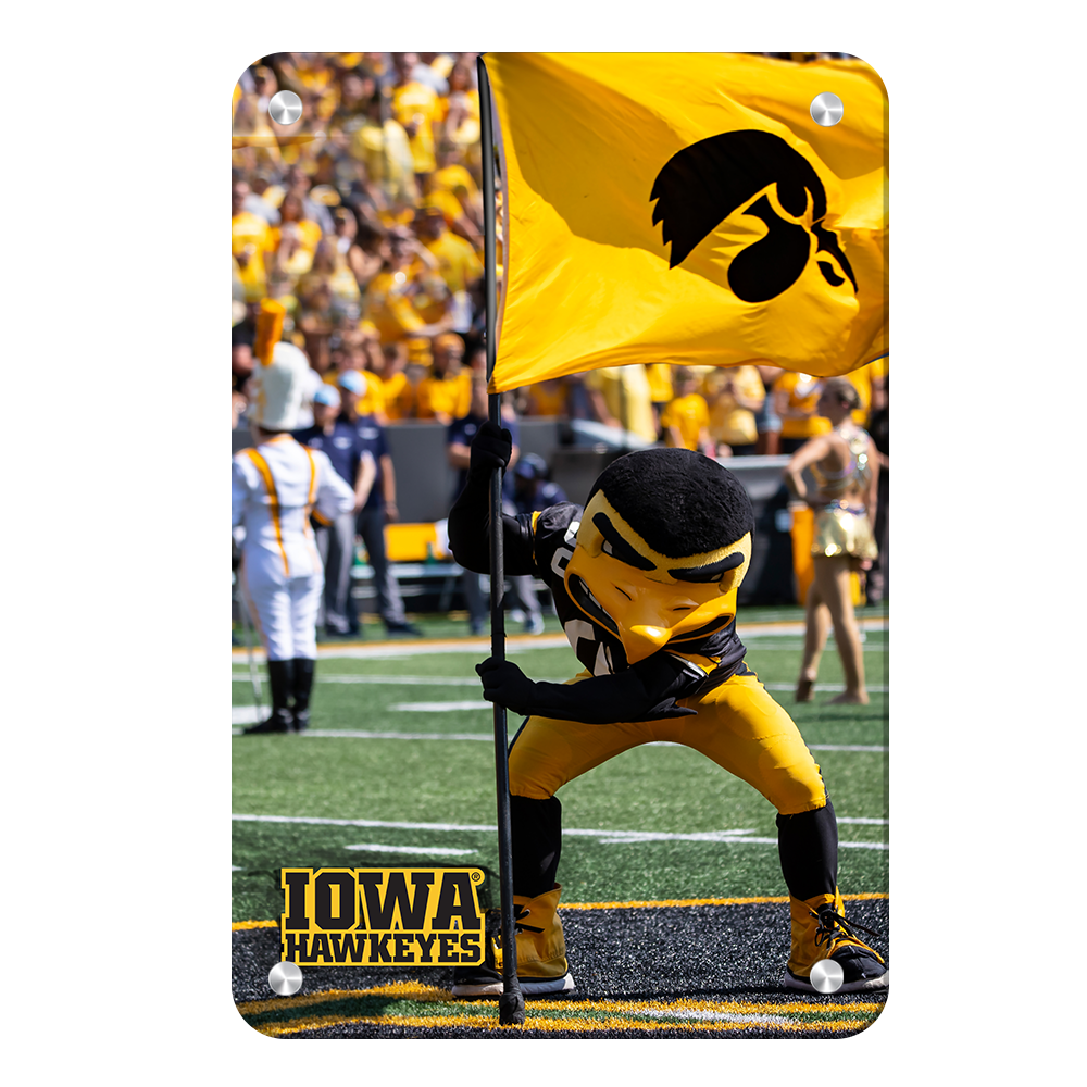 Iowa Hawkeyes - Iowa Hawkeyes Herky on the 50 - College Wall Art #Canvas