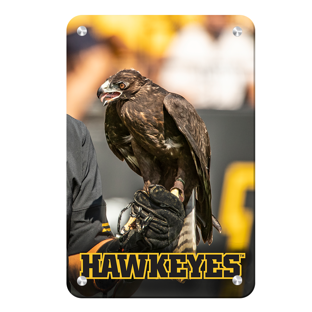Iowa Hawkeyes - The Hawkeyes - College Wall Art #Canvas