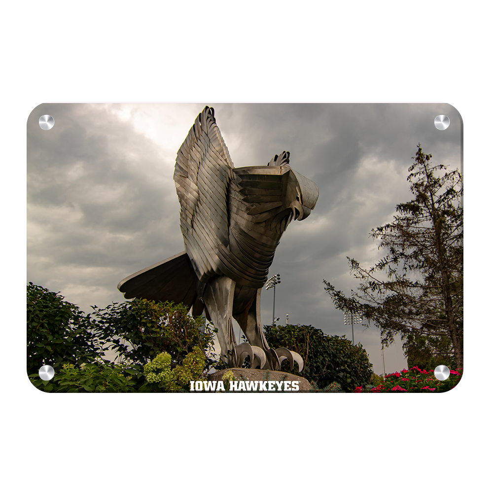 Iowa Hawkeyes - The Hawk In Honor of Bump Elliot - College Wall Art #Canvas