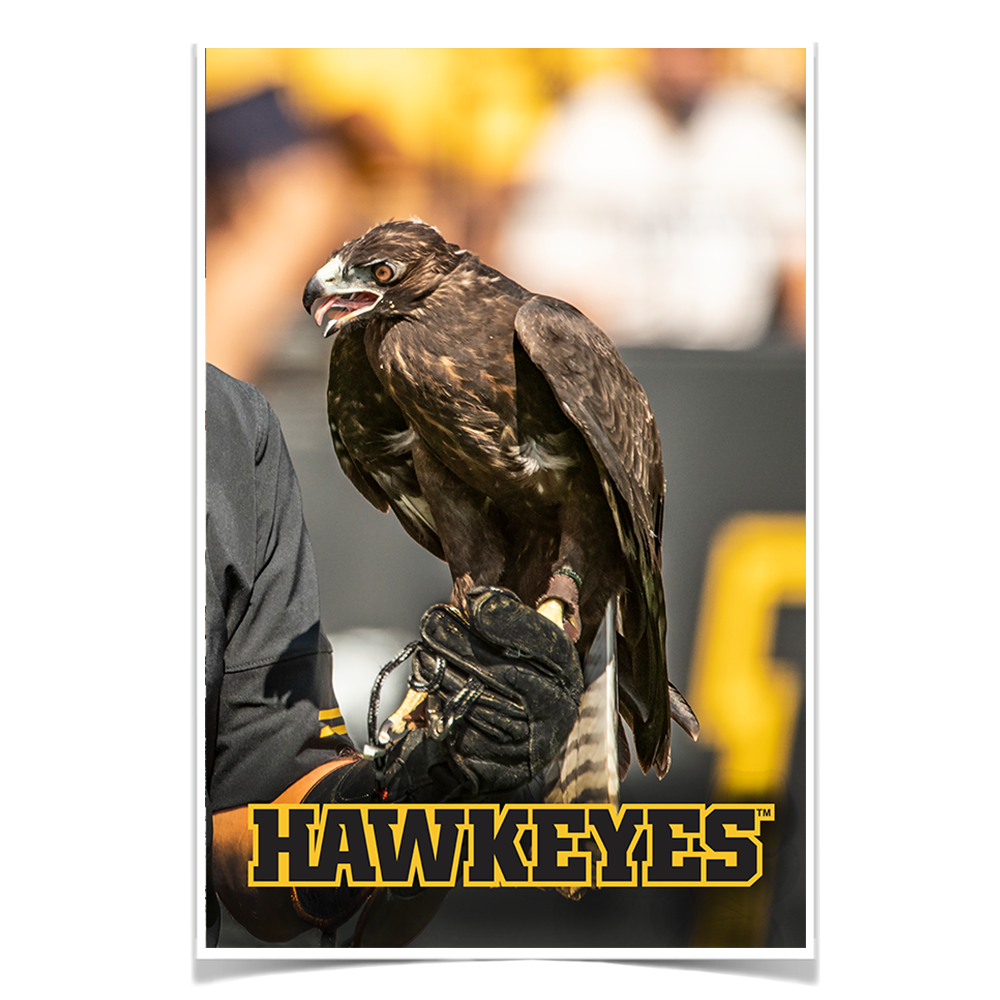 Iowa Hawkeyes - The Hawkeyes - College Wall Art #Canvas