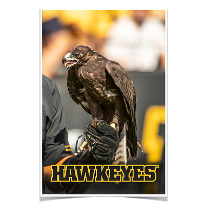 Iowa Hawkeyes - The Hawkeyes - College Wall Art #Poster