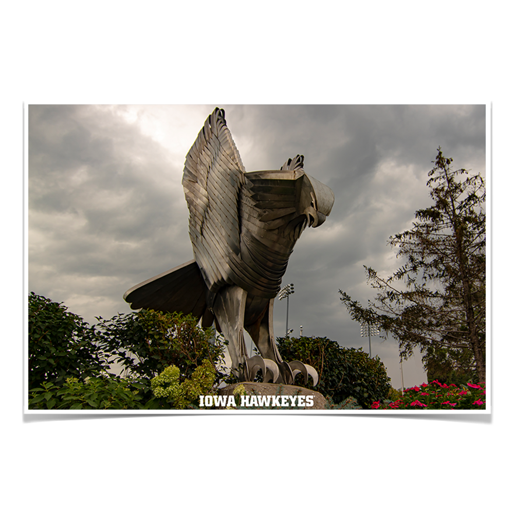 Iowa Hawkeyes - The Hawk In Honor of Bump Elliot - College Wall Art #Canvas