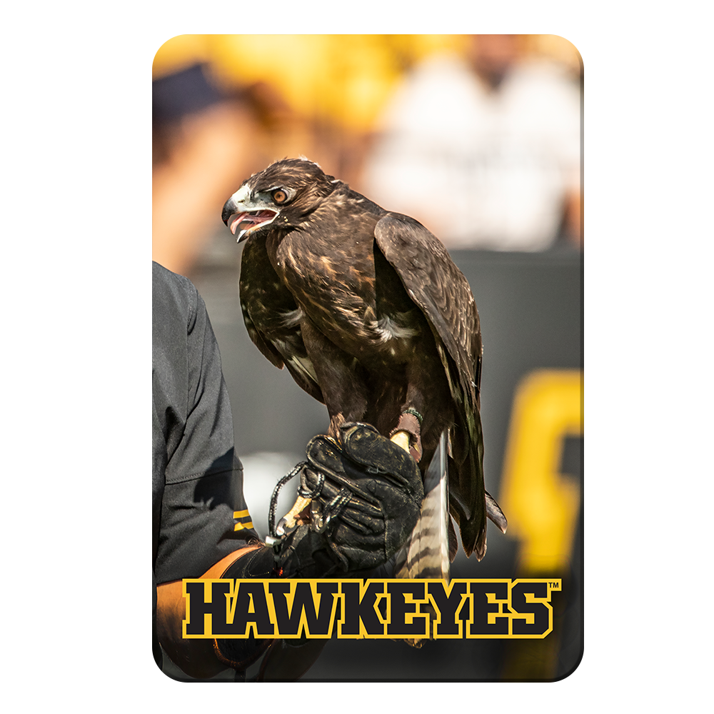 Iowa Hawkeyes - The Hawkeyes - College Wall Art #Canvas