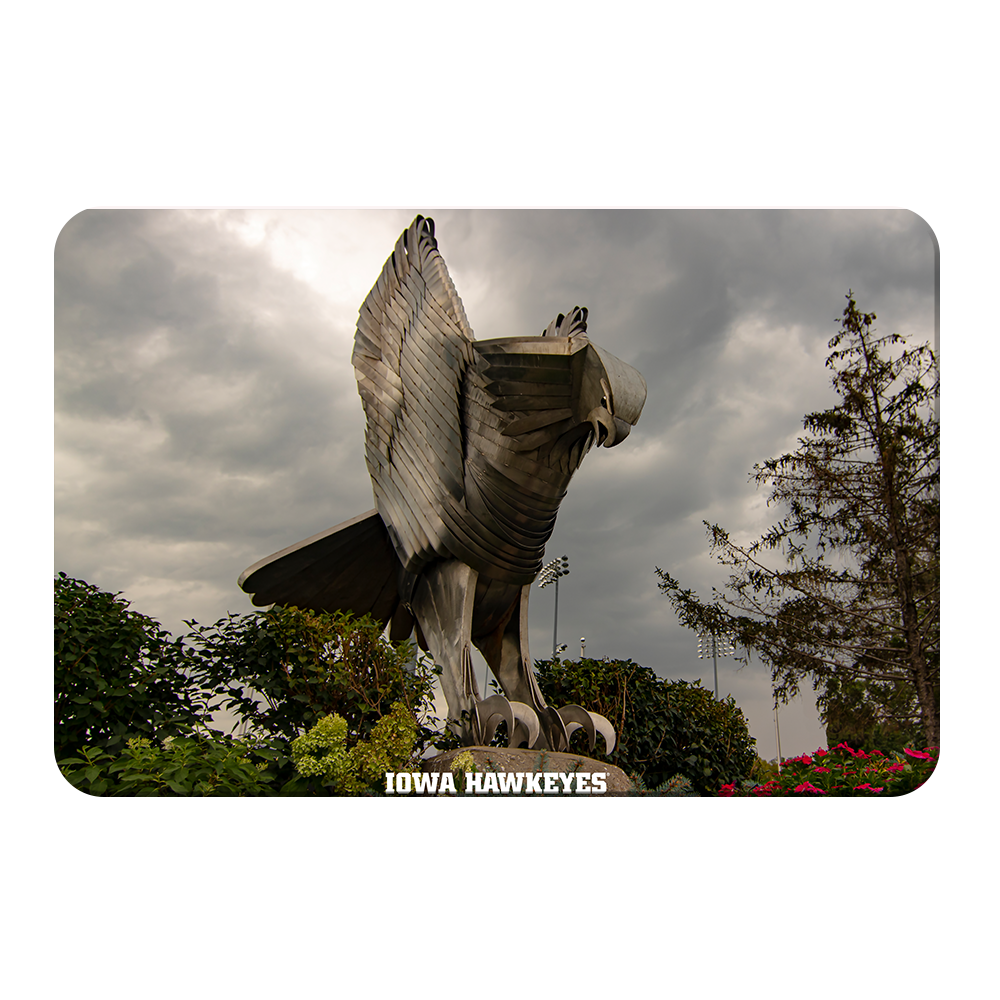 Iowa Hawkeyes - The Hawk In Honor of Bump Elliot - College Wall Art #Canvas