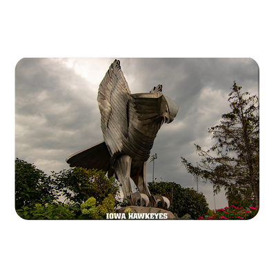Iowa Hawkeyes - The Hawk In Honor of Bump Elliot - College Wall Art #PVC