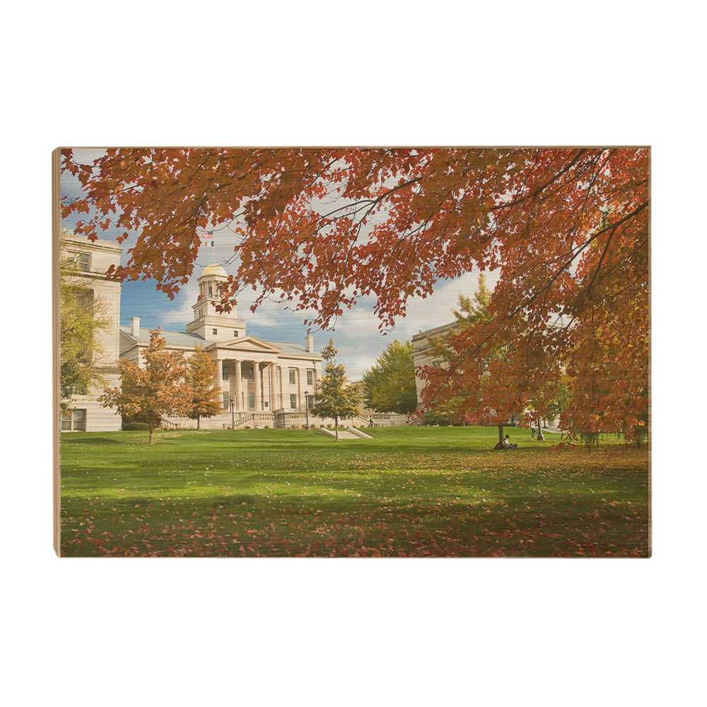 Iowa Hawkeyes - Fall Campus - College Wall Art #Canvas