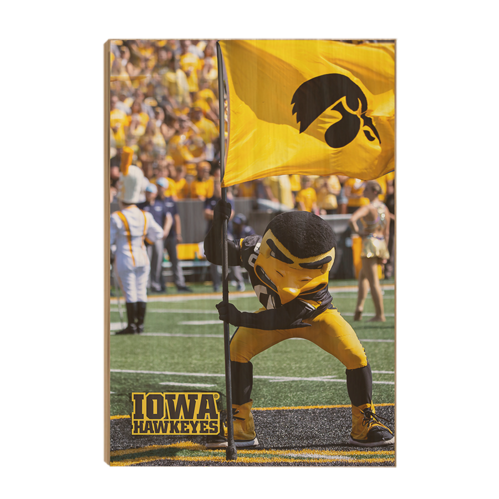 Iowa Hawkeyes - Iowa Hawkeyes Herky on the 50 - College Wall Art #Canvas