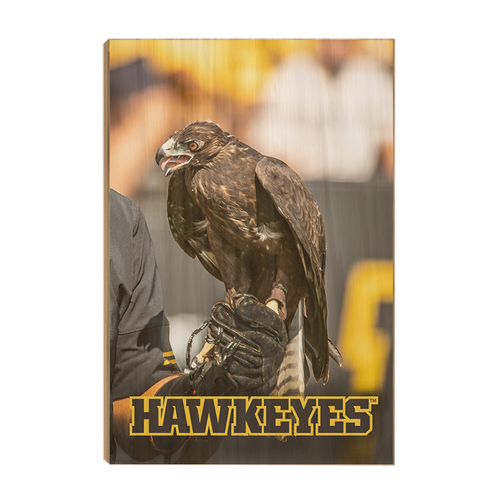 Iowa Hawkeyes - The Hawkeyes - College Wall Art #Canvas