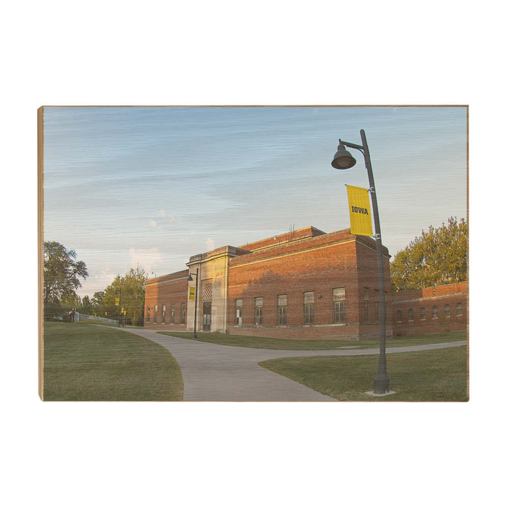 Iowa Hawkeyes - Skillfulness takes time and life is short - College Wall Art #Canvas