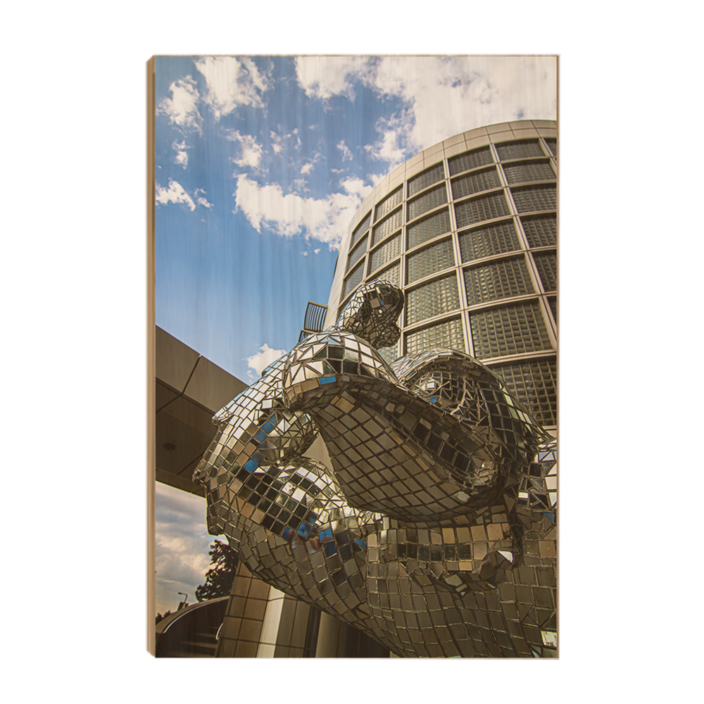 Iowa Hawkeyes - Herky Mosaic - College Wall Art #Canvas