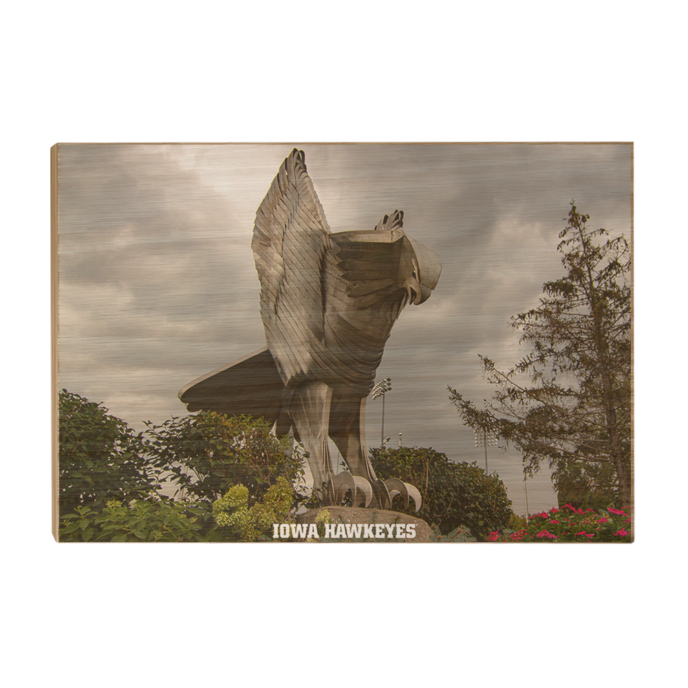 Iowa Hawkeyes - The Hawk In Honor of Bump Elliot - College Wall Art #Canvas