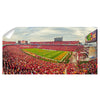 Iowa State Cyclones - Trice Stadium Pano - College Wall Art #Wall Decal