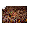 Iowa State Cyclones - Iowa State Passion - College Wall Art #Wall Decal