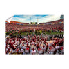Iowa State Cyclones - Cyclones Win, Storm The Field - College Wall Art #Wall Decal